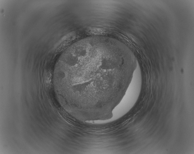 X0000065260507200603031832