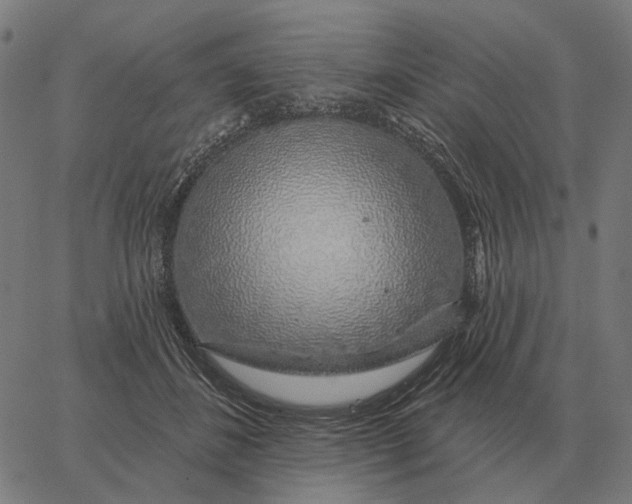 X0000065260508200603031832