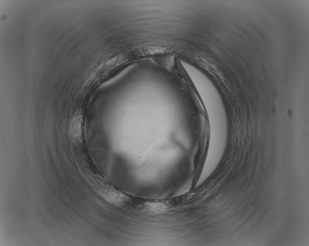 X0000065260509200603031832