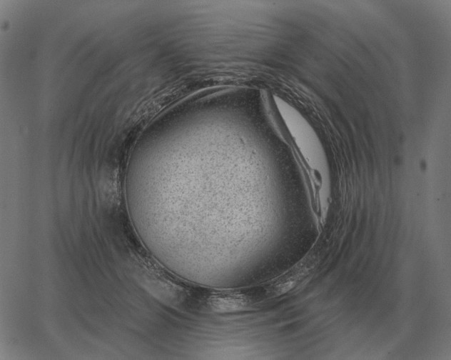 X0000065260510200603031832