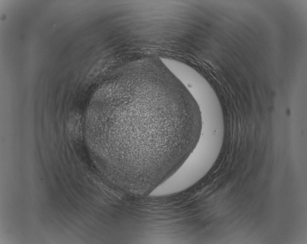 X0000065260511200603031832