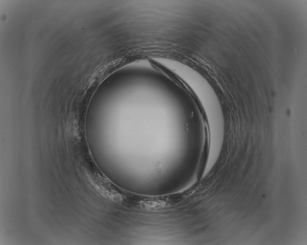 X0000065260512200603031832