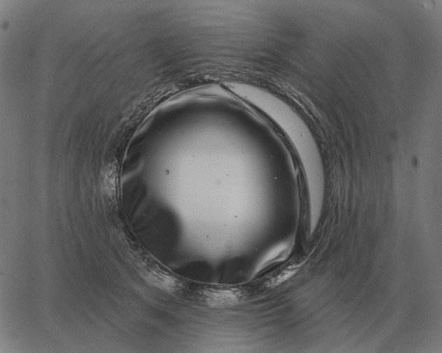 X0000065260513200603031832