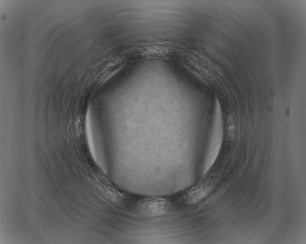 X0000065260514200603031832