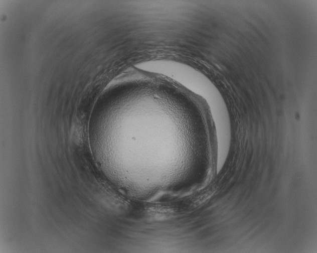 X0000065260515200603031832