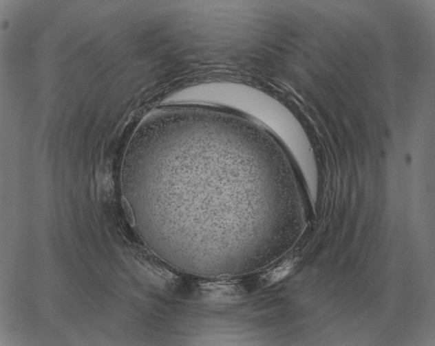 X0000065260516200603031832