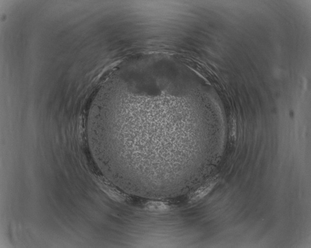 X0000065260519200603031832