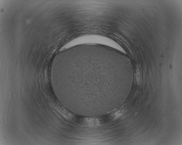 X0000065260520200603031832