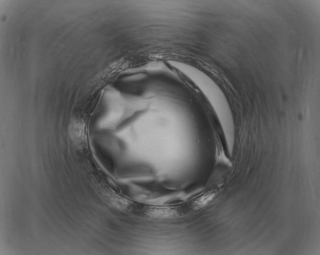 X0000065260521200603031832