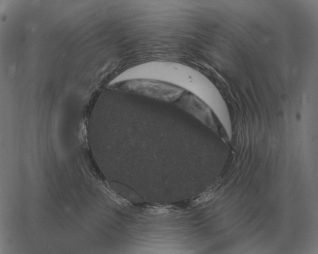 X0000065260523200603031832