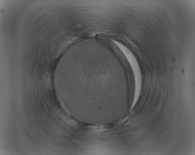 X0000065260524200603031832