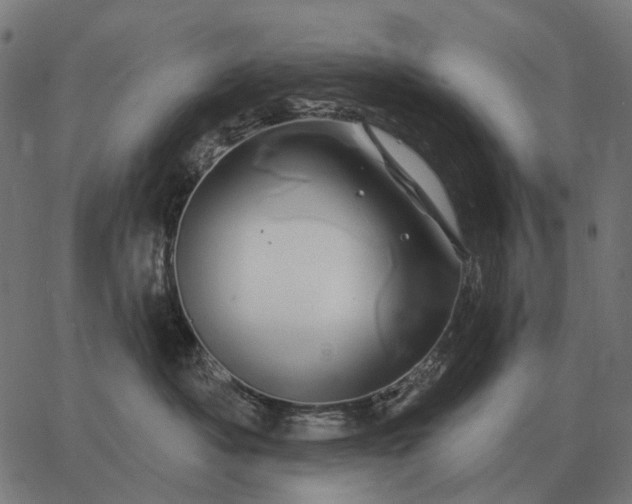 X0000065260525200603031832