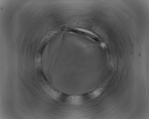 X0000065260526200603031832