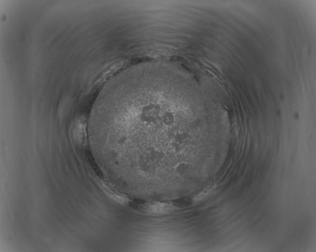 X0000065260527200603031832