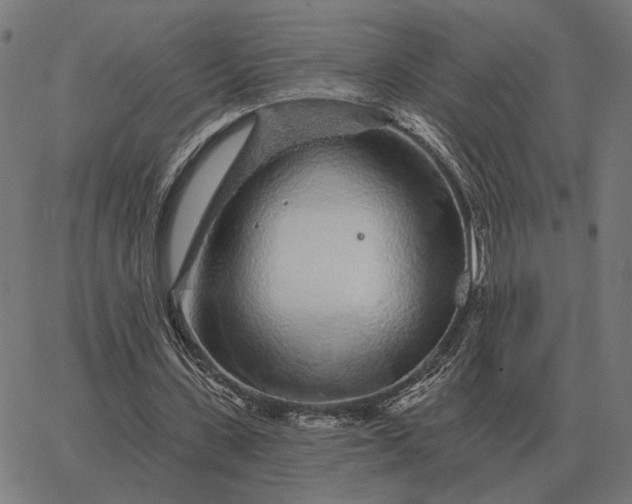 X0000065260531200603031831