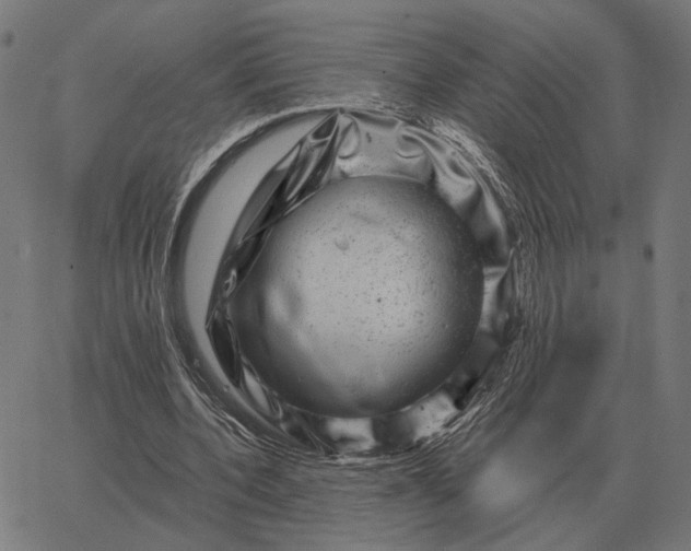 X0000065260532200603031831