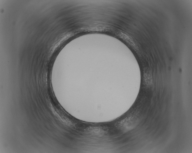 X0000065260534200603031831