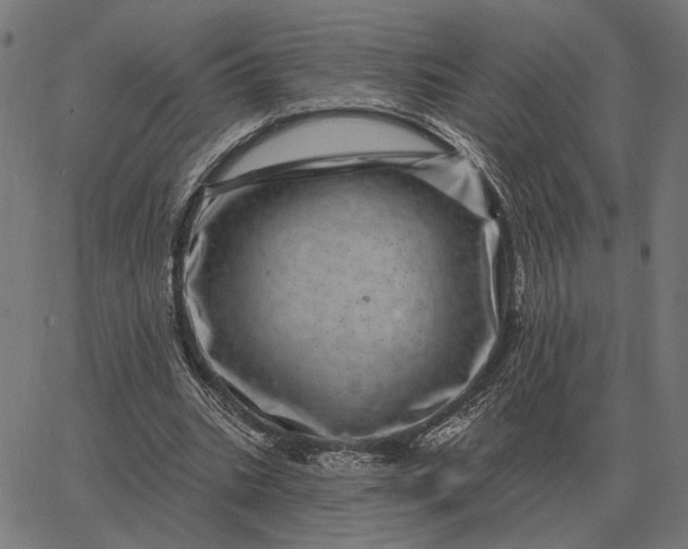 X0000065260535200603031831