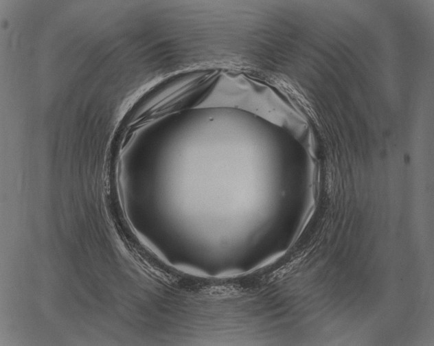 X0000065260536200603031831