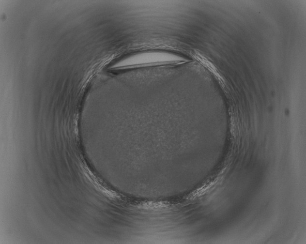 X0000065260537200603031831