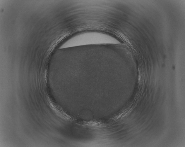 X0000065260542200603031831