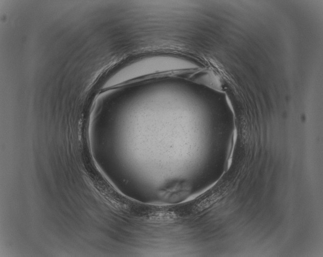 X0000065260543200603031831