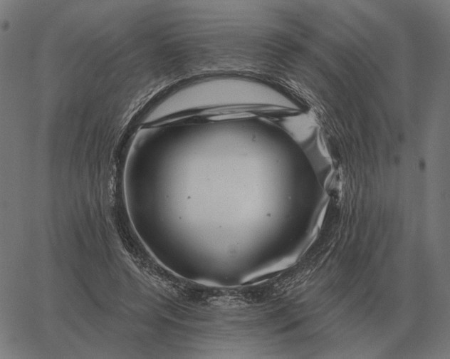 X0000065260544200603031831