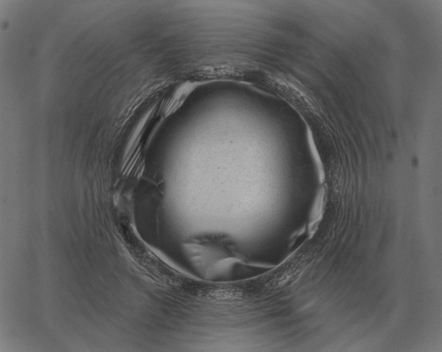 X0000065260546200603031831