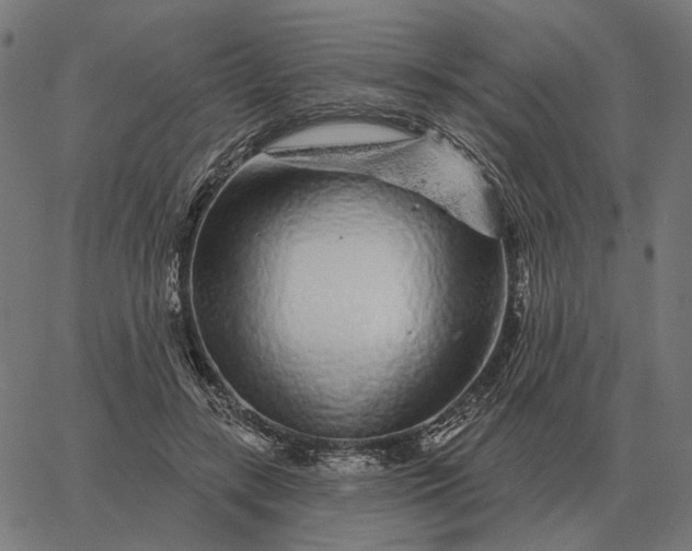 X0000065260547200603031831