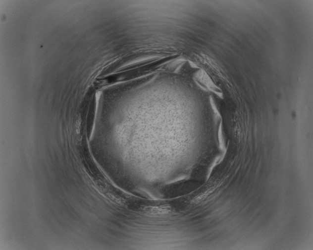 X0000065260548200603031831