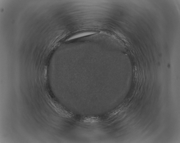 X0000065260550200603031831