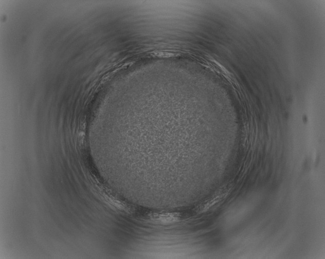 X0000065260553200603031831