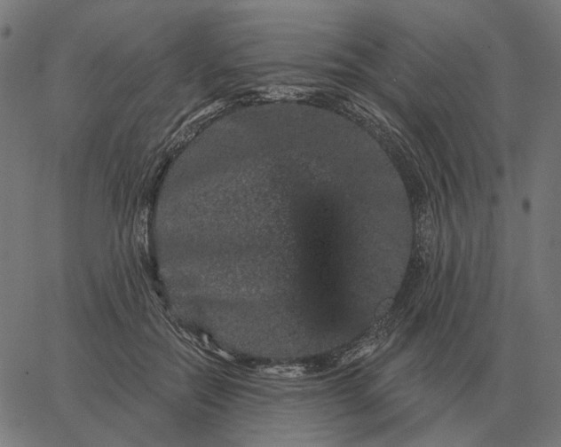 X0000065260554200603031831