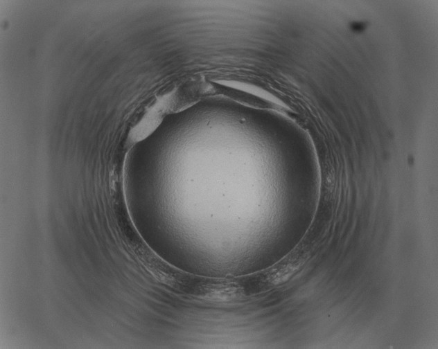 X0000065260555200603031831