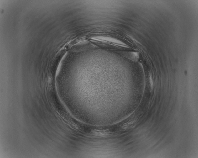 X0000065260556200603031831