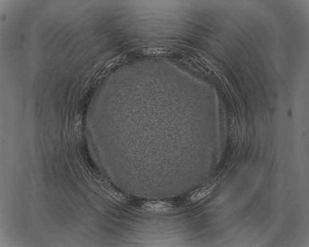 X0000065260557200603031831