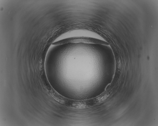 X0000065260559200603031831