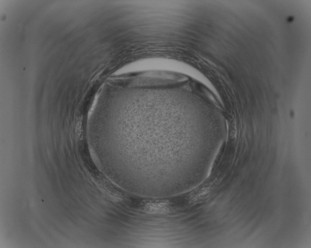 X0000065260560200603031831