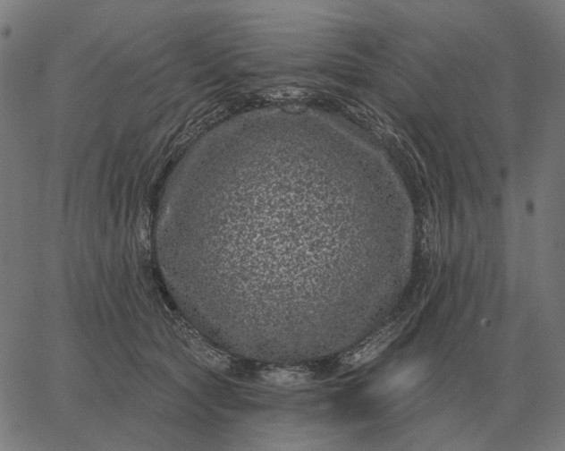 X0000065260561200603031831