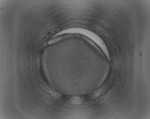 X0000065260562200603031831