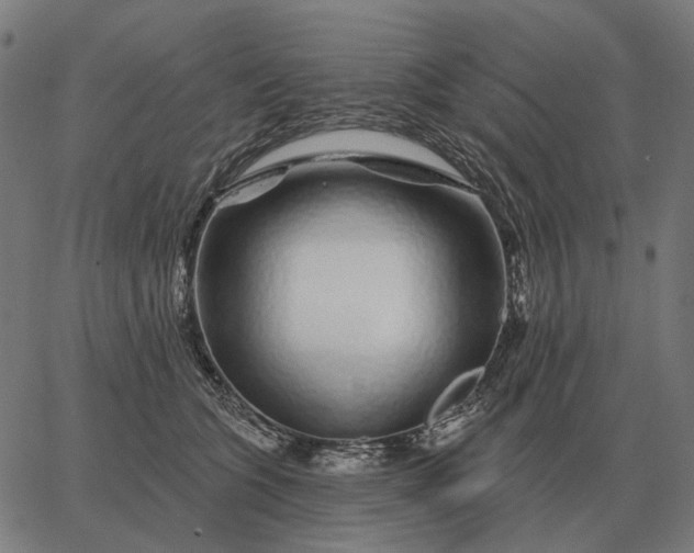 X0000065260563200603031831