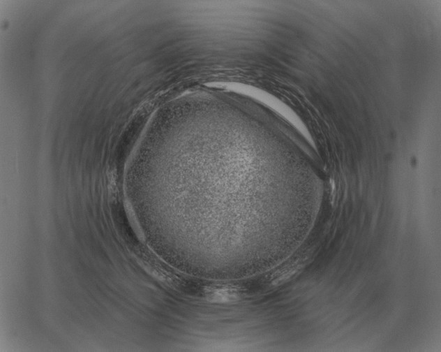 X0000065260564200603031831