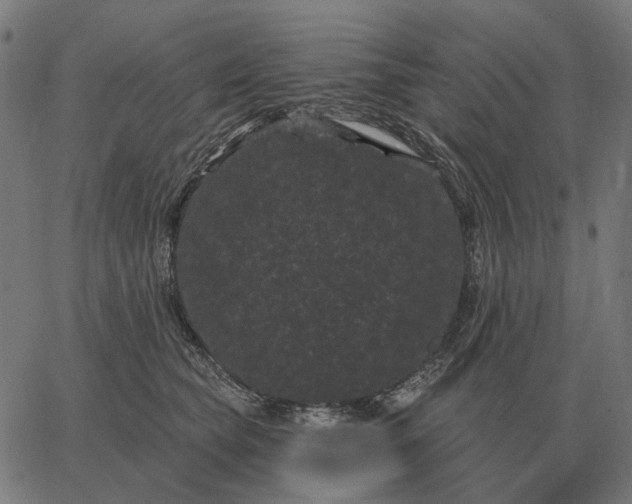 X0000065260565200603031831