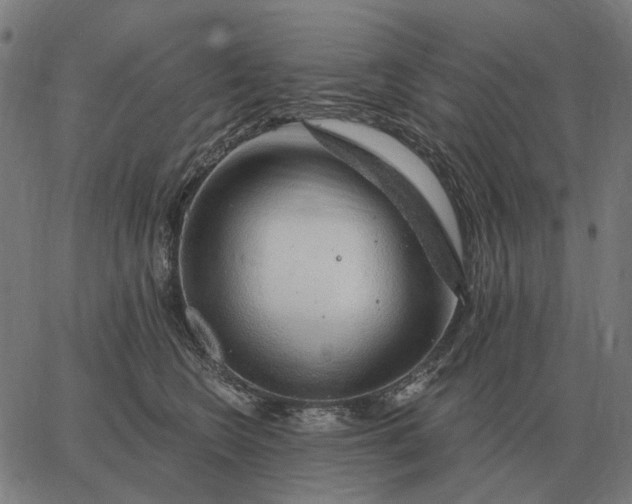 X0000065260566200603031831