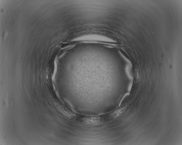 X0000065260567200603031831