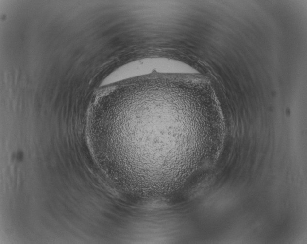 X0000065260569200603031831