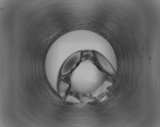 X0000065260570200603031831