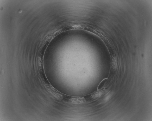 X0000065260571200603031831