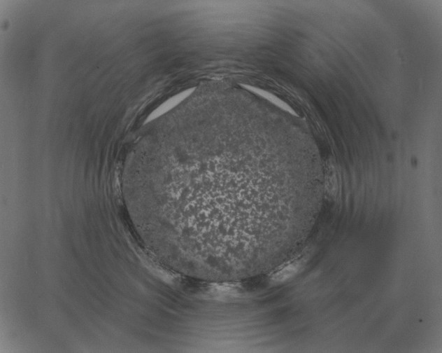 X0000065260573200603031831