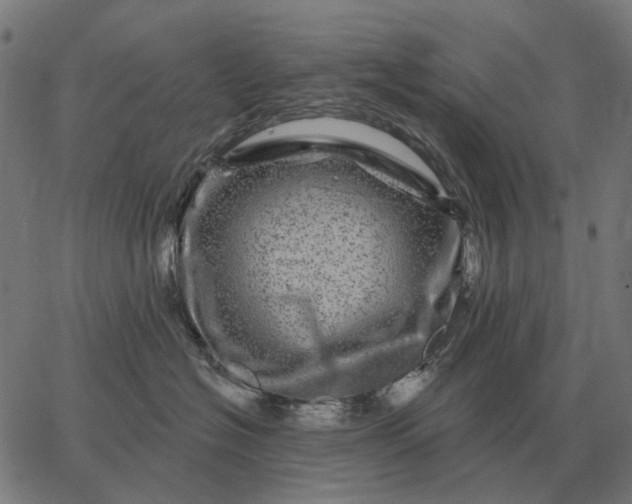 X0000065260574200603031831